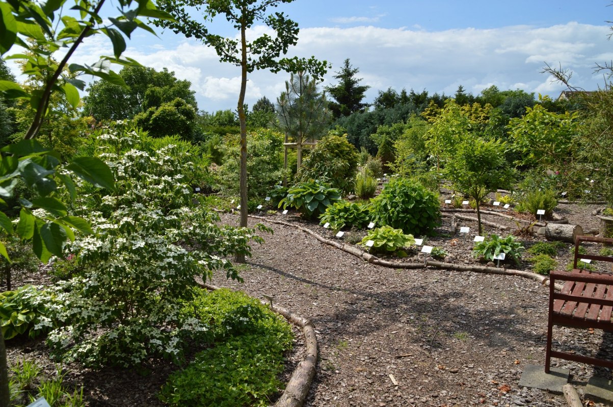 Geschlungener Pfad durch den neueren Teil der Anlage // © Kevin Hager (Baumschule Hager) Geschlungener Pfad durch den neueren Teil der Anlage // © Kevin Hager (Baumschule Hager)