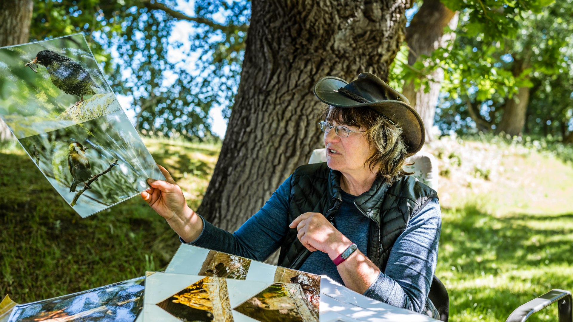 Sylvia Juhnke zeigt große, selbstgeschossene Vogelbilder an einem Tisch unter einem Baum. // Sylva Juhnke ist ein echtes Original, mit der es unterwegs keine Minute langweilig ist. // © MV-T/Tiemann Sylvia Juhnke zeigt große, selbstgeschossene Vogelbilder an einem Tisch unter einem Baum.