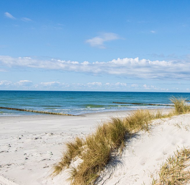 Erleben Sie die Insel Hiddensee bei einem Tagesausflug ab Stralsund. // &copy; Wei&szlig;e Flotte GmbH