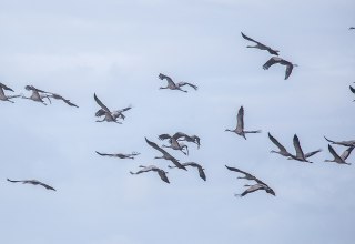 &copy; Wei&szlig;e Flotte GmbH