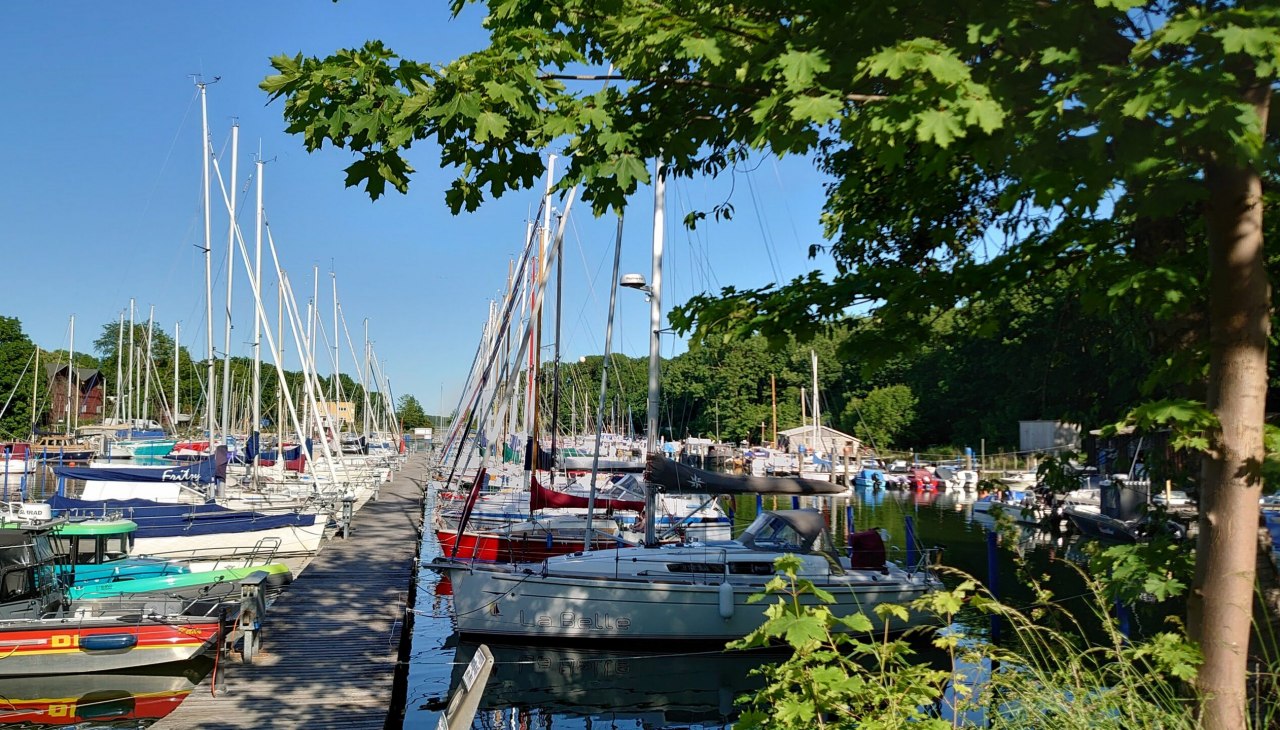 YC Strelasund, © YCS