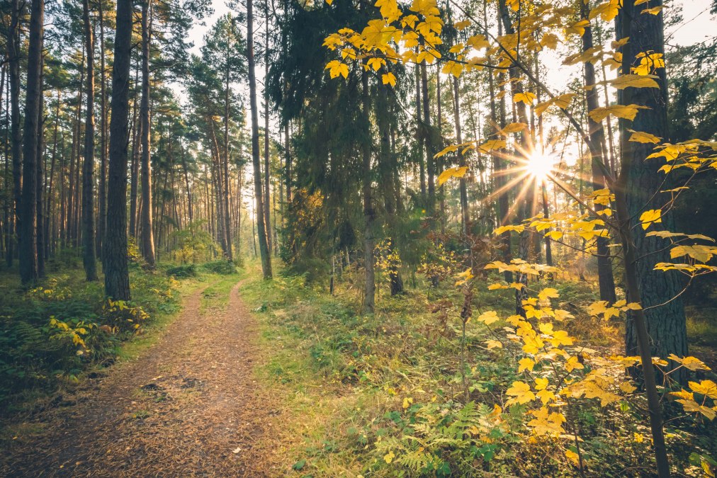 Baabe_baaber-heide_2_c_Mirko-Boy, © Mirko Boy Baabe_baaber-heide_2_c_Mirko-Boy, © Mirko Boy