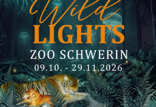 Wild Lights Zoo Schwerin // &copy; Zoo Schwerin