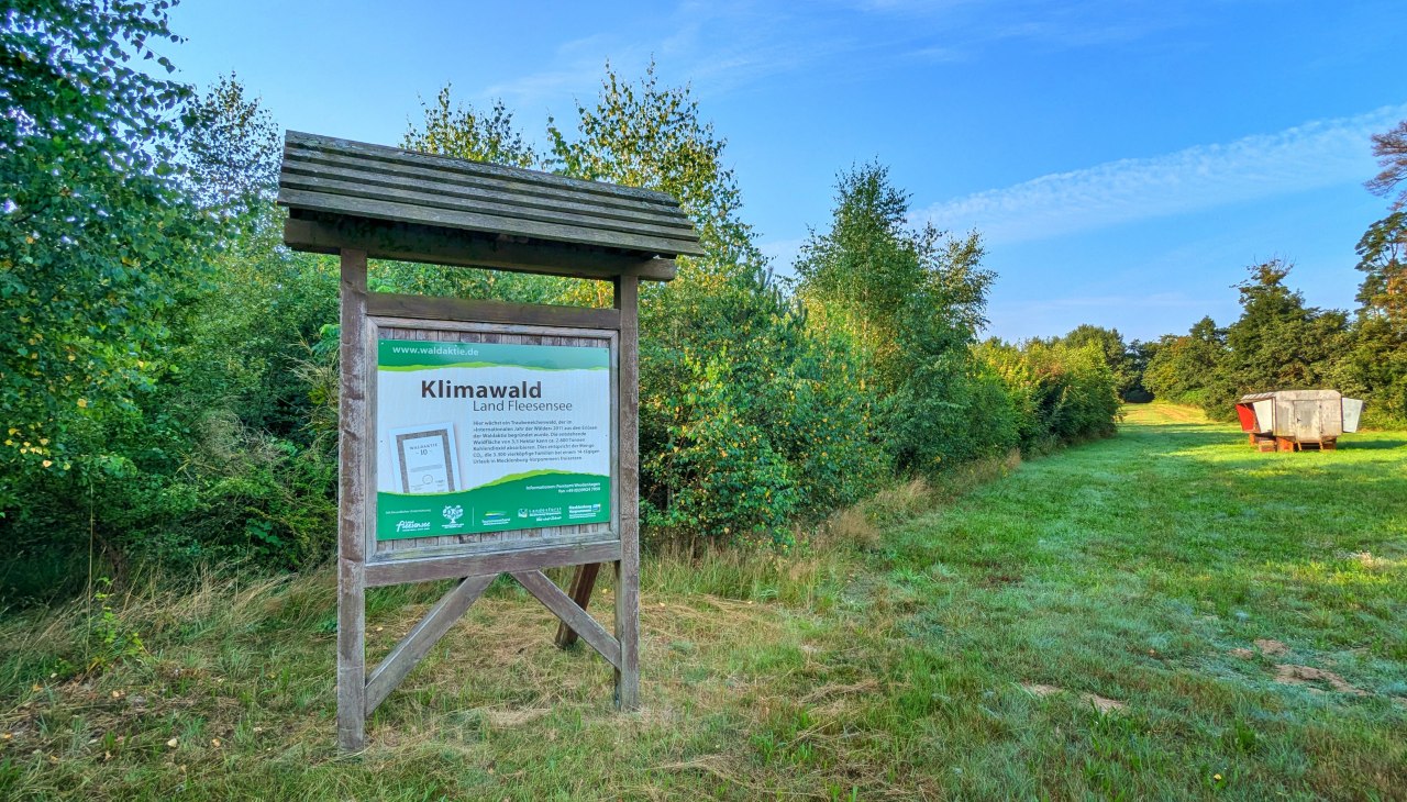 Klimawald Fleesensee Infotafel, © Landesforst MV