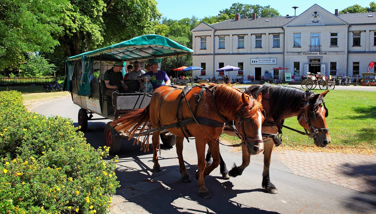Wildpark Boek, &copy; TDG Rechlin