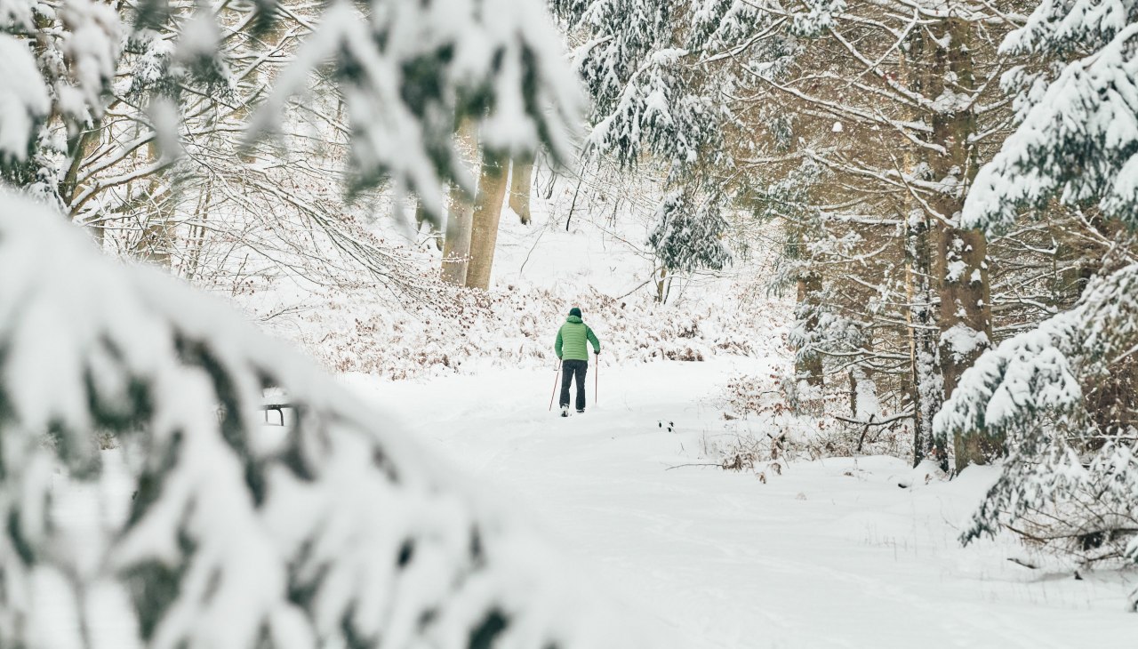 20210209-Winter02-Foto-Burwitz-Pocha, © KV 20210209-Winter02-Foto-Burwitz-Pocha, © KV