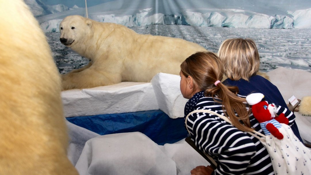 Eisbären im Wildlife Usedom, © H. Böhm / trassenheide.de