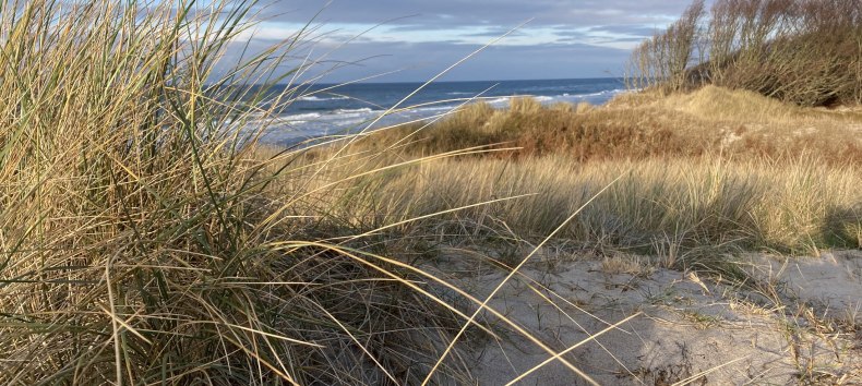 Weststrand Winter // &copy; Nationalparkamt Vorpommern