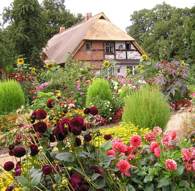 &copy; Gerd Albrecht