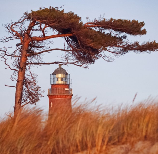 Den Dar&szlig;er Weststrand schm&uuml;ckt ein Leuchtturm, der Teil des NATUREUMs ist. // &copy; Anke Neumeister/Deutsches Meeresmuseum