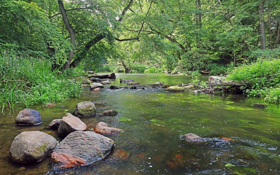 Durchbruchstal der Warnow // &copy; TMV/Gohlke