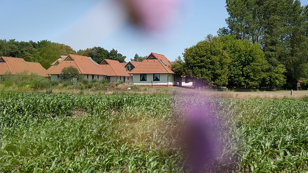 Herzlich Willkommen im Jugendtours Feriendorf Ummanz // © Jugendtours-Feriendorf Ummanz/Meixner Herzlich Willkommen im Jugendtours Feriendorf Ummanz // © Jugendtours-Feriendorf Ummanz/Meixner