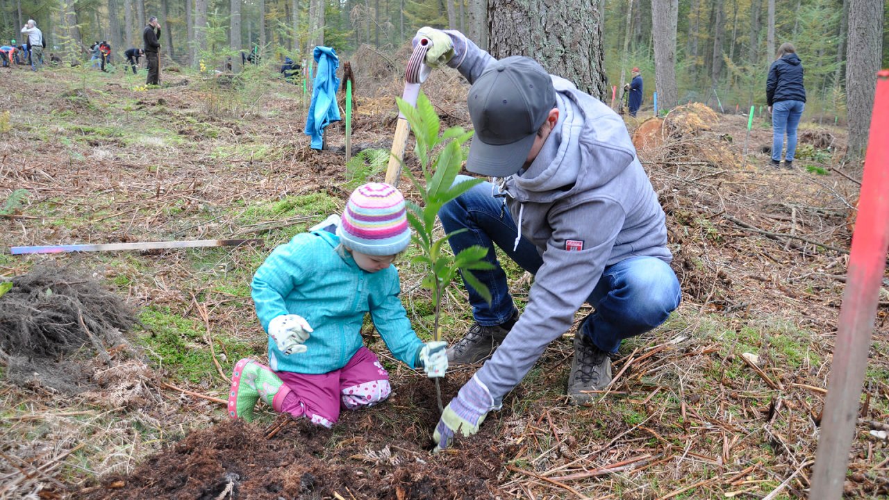 Ein Mann und ein junges M&auml;dchen pflanzen gemeinsam einen Baum bei der Aktion &bdquo;B&uuml;rger f&uuml;r B&auml;ume&ldquo; in Rostock. // &copy; Zoo Rostock/ Seemann