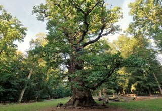 &copy; Sebastian Haerter