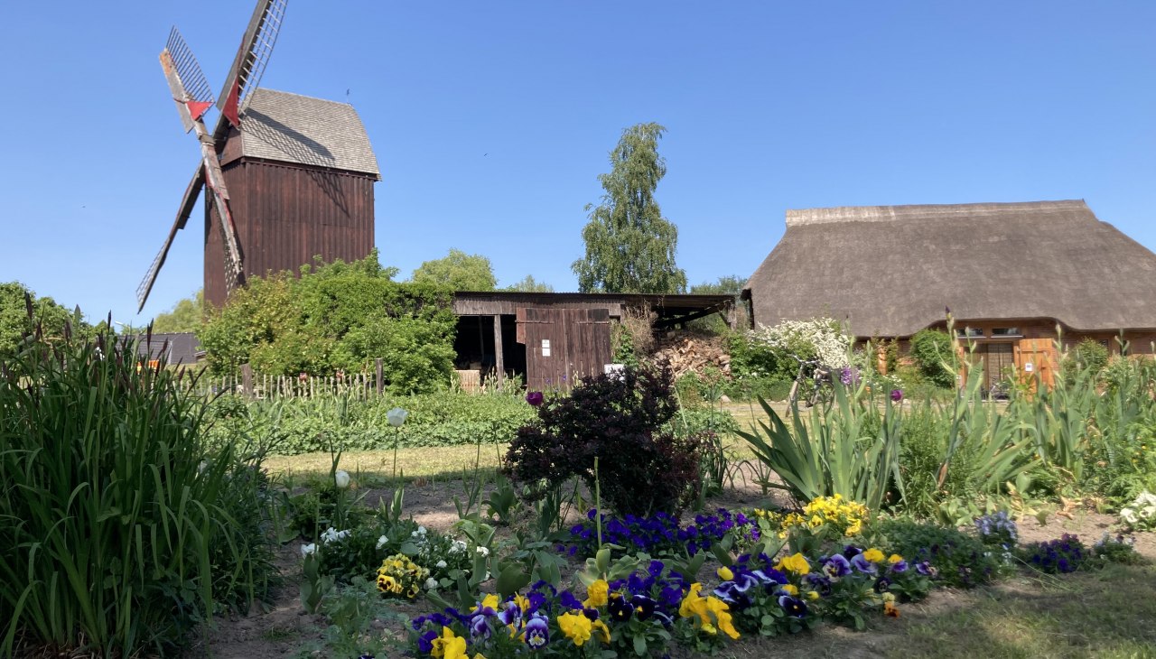 Bunte Frühlingsgrüße von der Eldenaer Bockwindmühle, © Martin Weidemeier Bunte Frühlingsgrüße von der Eldenaer Bockwindmühle, © Martin Weidemeier