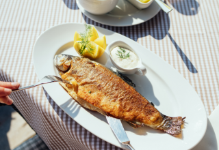 © TMV/ Felix Gänsicke © TMV/ Felix Gänsicke