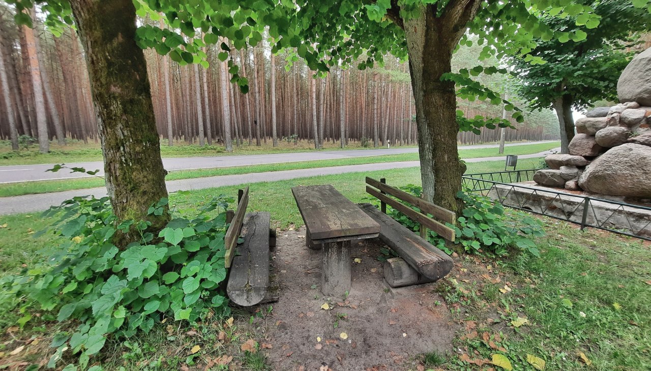 Zitgedeelte bij de Fritz Reuter Steen, © M.Lenthe Zitgedeelte bij de Fritz Reuter Steen, © M.Lenthe