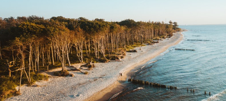 Das Ostseeheilbad Graal-M&uuml;ritz liegt sch&ouml;n eingebettet zwischen ausgedehnten Sandstr&auml;nden, kilometerlangen K&uuml;stenw&auml;ldern und der Rostocker Heide., &copy; TMV/Friedrich