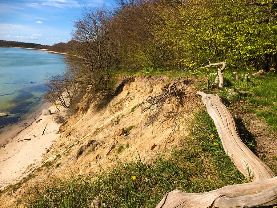 Geführte Wanderungen über die Insel Vilm, © Fahrgastreederei Lenz e.K Geführte Wanderungen über die Insel Vilm, © Fahrgastreederei Lenz e.K