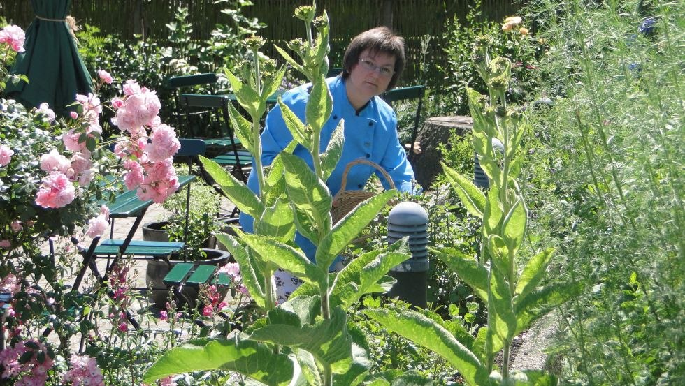 Der hauseigene Wildkräuter- und Bauerngarten mit seinen historischen und fast vergessenen Gemüsen und Kräutern // © De oll Dörpschaul/Alm-Linke Der hauseigene Wildkräuter- und Bauerngarten mit seinen historischen und fast vergessenen Gemüsen und Kräutern // © De oll Dörpschaul/Alm-Linke