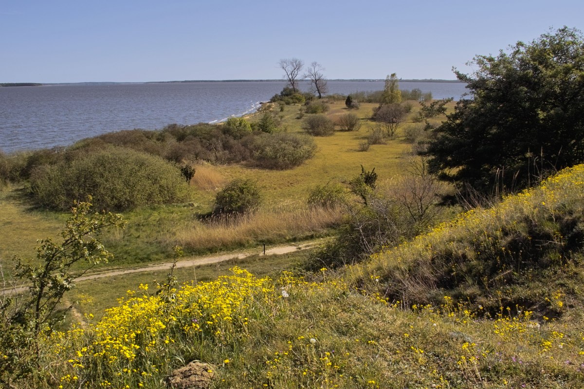 Uitzicht op het natuurreservaat Gnitz // &copy; Fotoarchiv Naturpark Insel Usedom