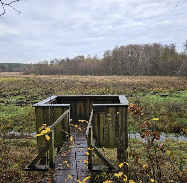 © NPA Müritz © NPA Müritz