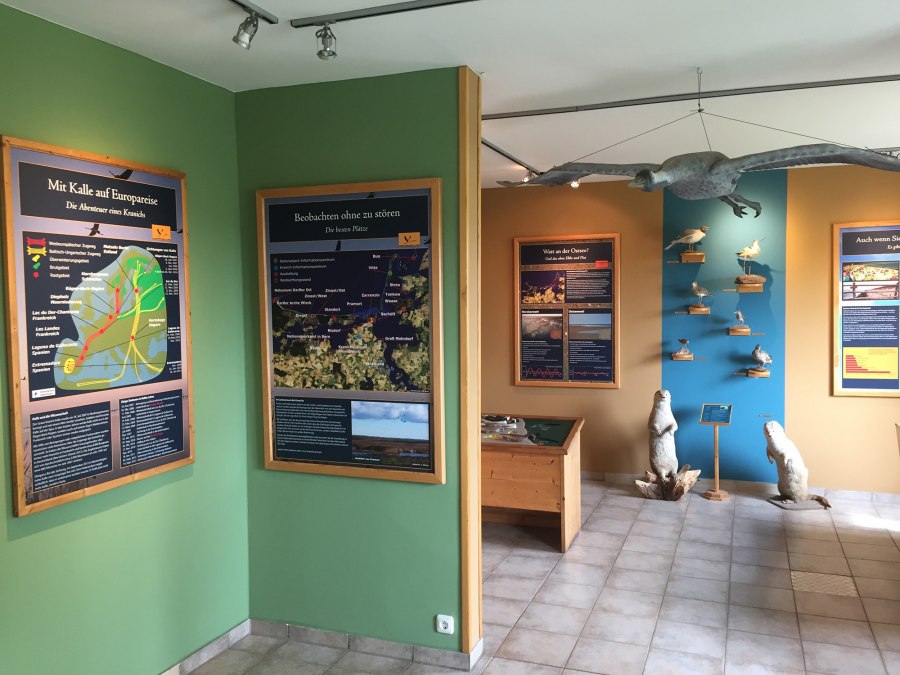 Nationalparkausstellung Sundische Wiese, &copy; Nationalparkamt Vorpommern