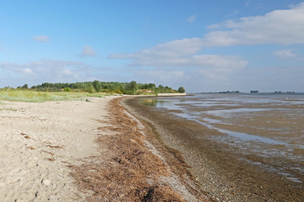 Naturstrand Wampen, © TMV/Gohlke Naturstrand Wampen, © TMV/Gohlke