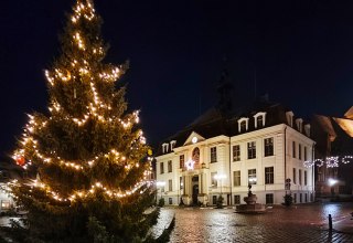 © Jana Koch © Jana Koch