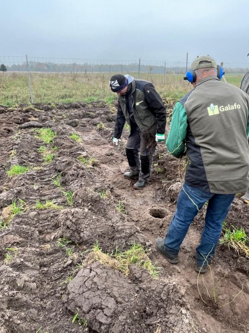 Klimawald Dreschvitz - Pflanzaktion Herbst 2024, © Landesforst MV