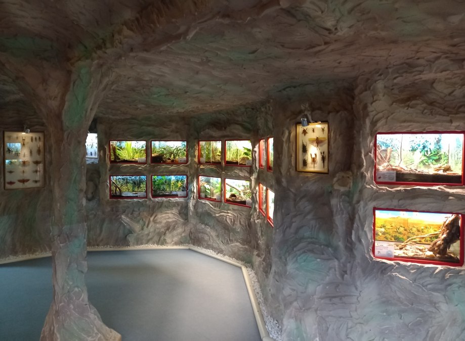 20220310_104732, &copy; Schmetterlingsfarm/Heike Schnelle