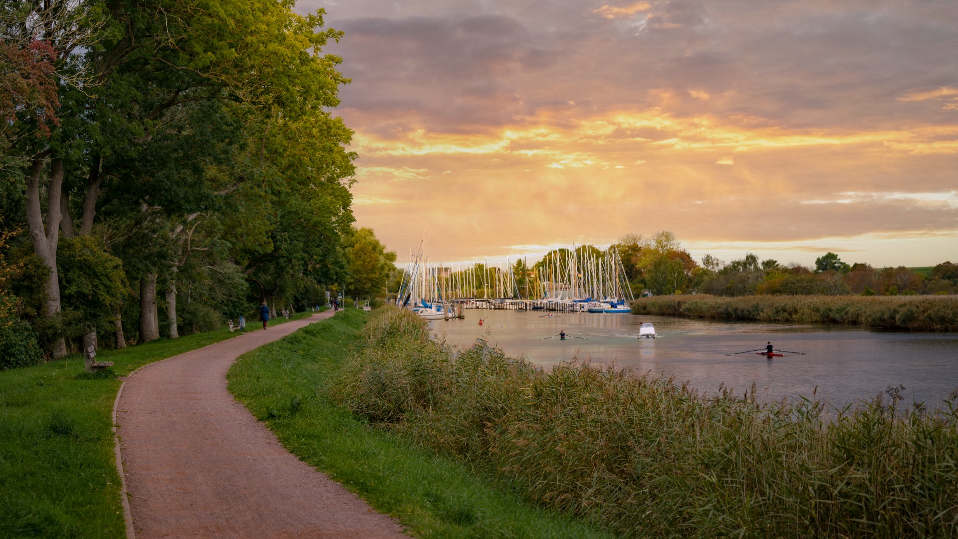 Zu Friedrichs Zeiten Treidelpfad, heute Joggingmeile der Uferweg zwischen Hafen und Meer in Greifswald. Ruderer paddeln entlang auf dem Fluss. // Zu Friedrichs Zeiten Treidelpfad, heute Joggingmeile der Uferweg zwischen Hafen und Meer in Greifswald. // © MV-T/Tiemann Zu Friedrichs Zeiten Treidelpfad, heute Joggingmeile der Uferweg zwischen Hafen und Meer in Greifswald. Ruderer paddeln entlang auf dem Fluss.
