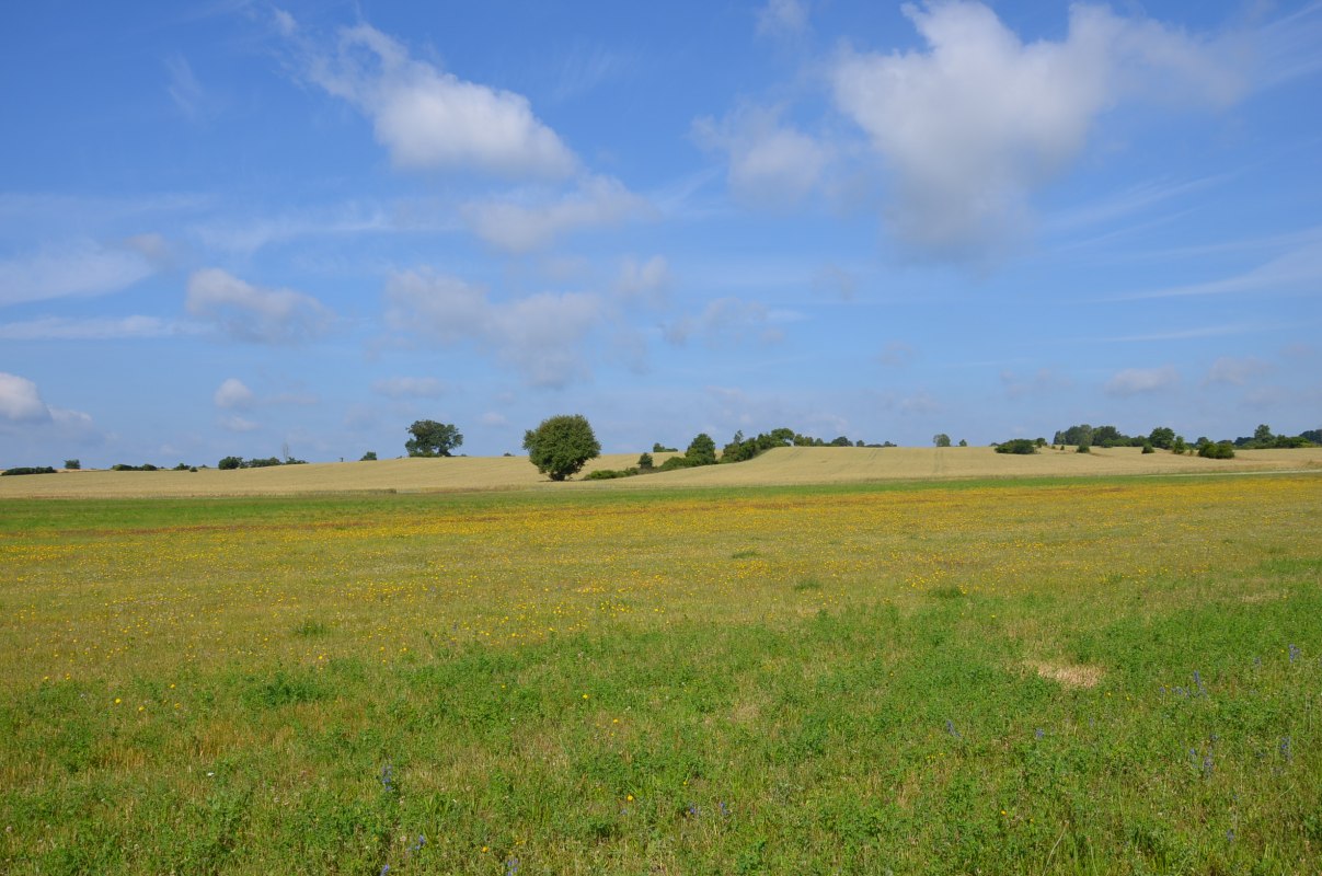 &copy; Kurverwaltung Feldberger Seenlandschaft