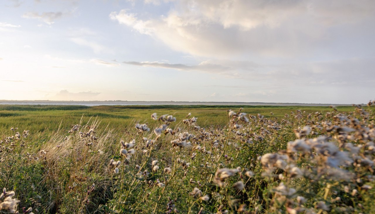 gut-nisdorf-5238, &copy; Gut Nisdorf