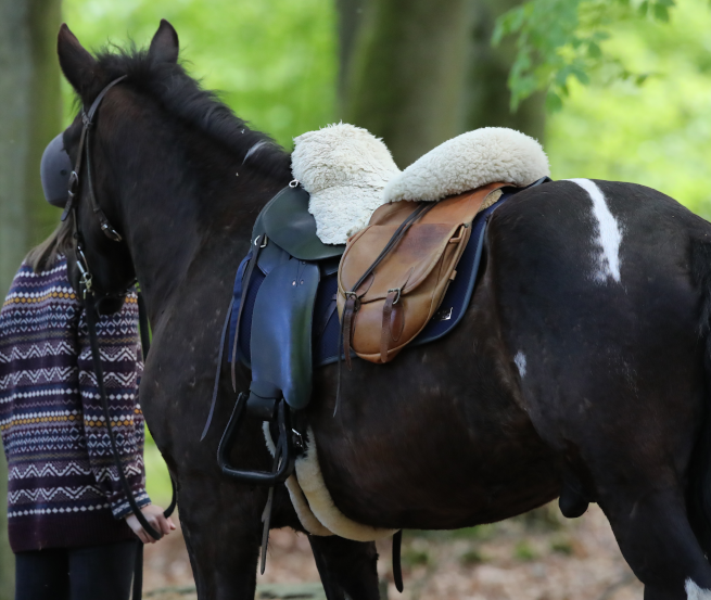 Kurz mal raus aus dem Sattel und die Natur genießen ist beim Wanderreiten in Mecklenburg-Vorpommern sehr zu empfehlen. // © MV-T/Pantel Kurz mal raus aus dem Sattel und die Natur genießen ist beim Wanderreiten in Mecklenburg-Vorpommern sehr zu empfehlen. // © MV-T/Pantel