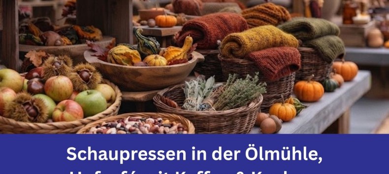 Alle Informationen zur Bio-Landpartie am 19.09.2026 von 10 bis 17 Uhr mit Kunsthandwerkern an der Ostseemühle in Langenhanshagen // © Ostseemühle Alle Informationen zur Bio-Landpartie am 19.09.2026 von 10 bis 17 Uhr mit Kunsthandwerkern an der Ostseemühle in Langenhanshagen // © Ostseemühle