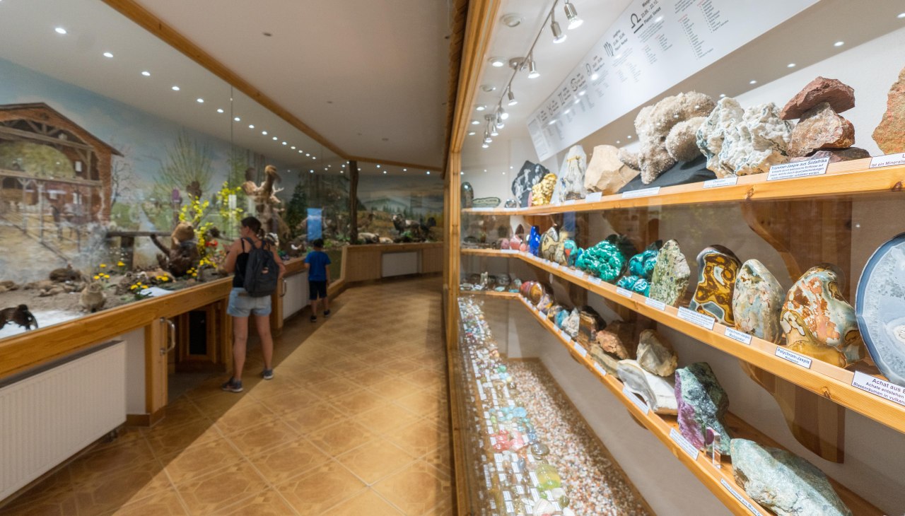 Natur-Schatzkammer, &copy; Moritz Kertzscher