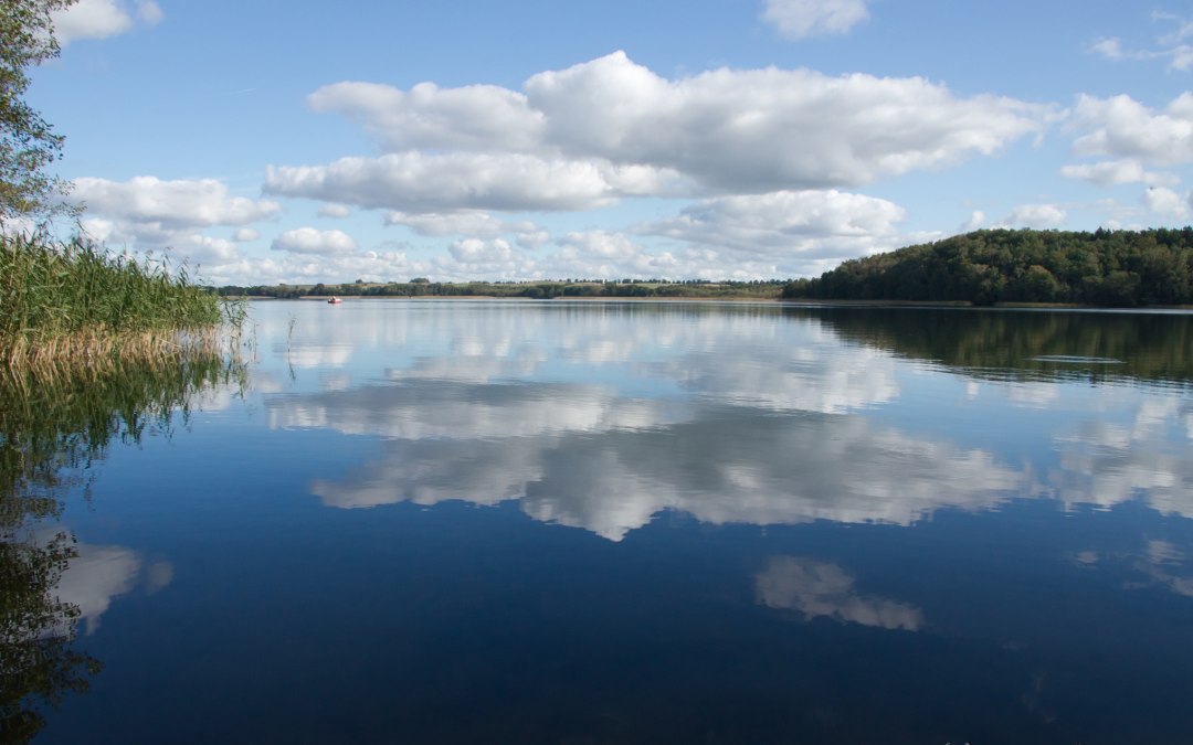 &copy; Jens B&ouml;ckmann