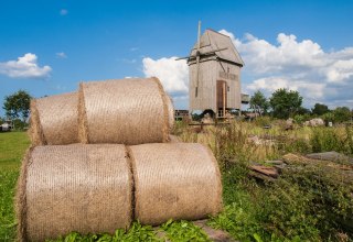 Windmühle mit Strohrollen im Vordergrund. // © Frank Burger Windmühle mit Strohrollen im Vordergrund. // © Frank Burger