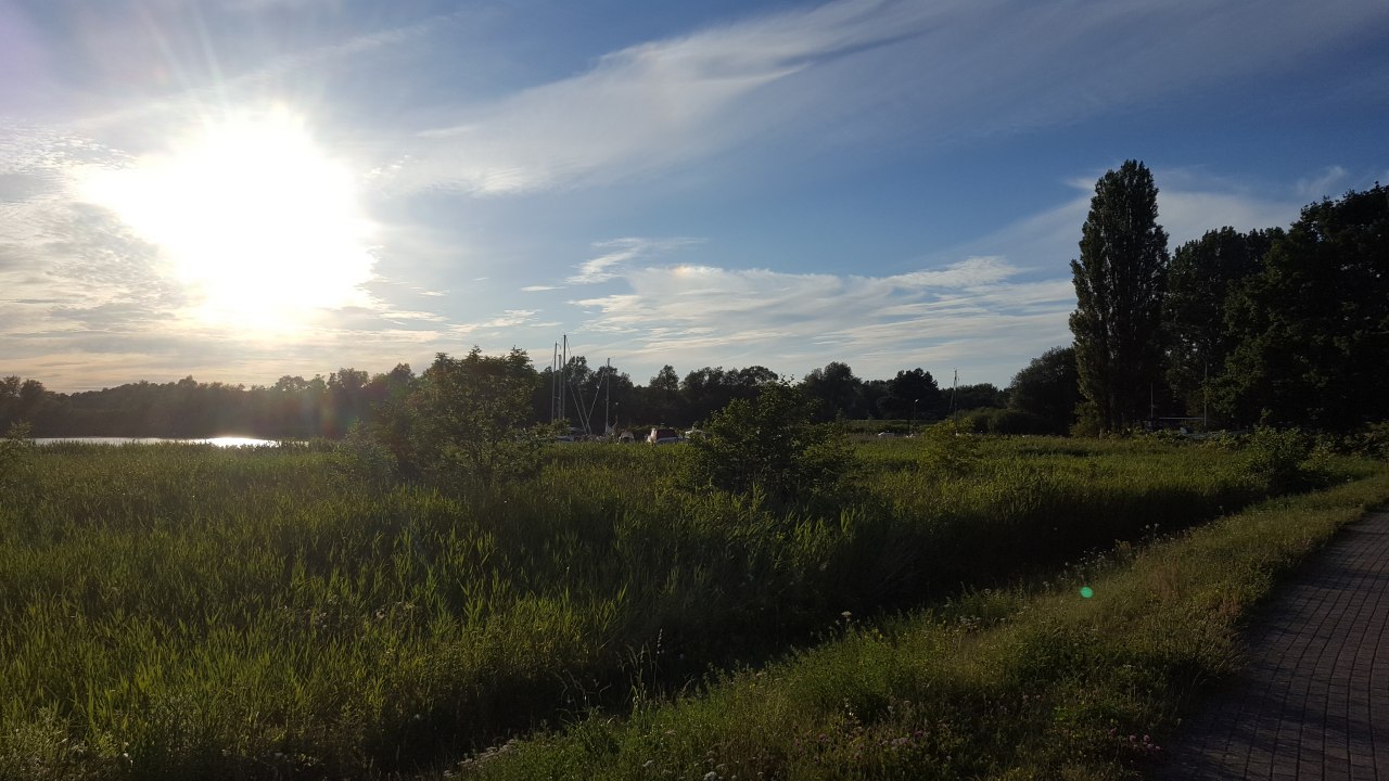 Gef&uuml;hrte Pilzwanderung, &copy; 20170705_200527.jpg