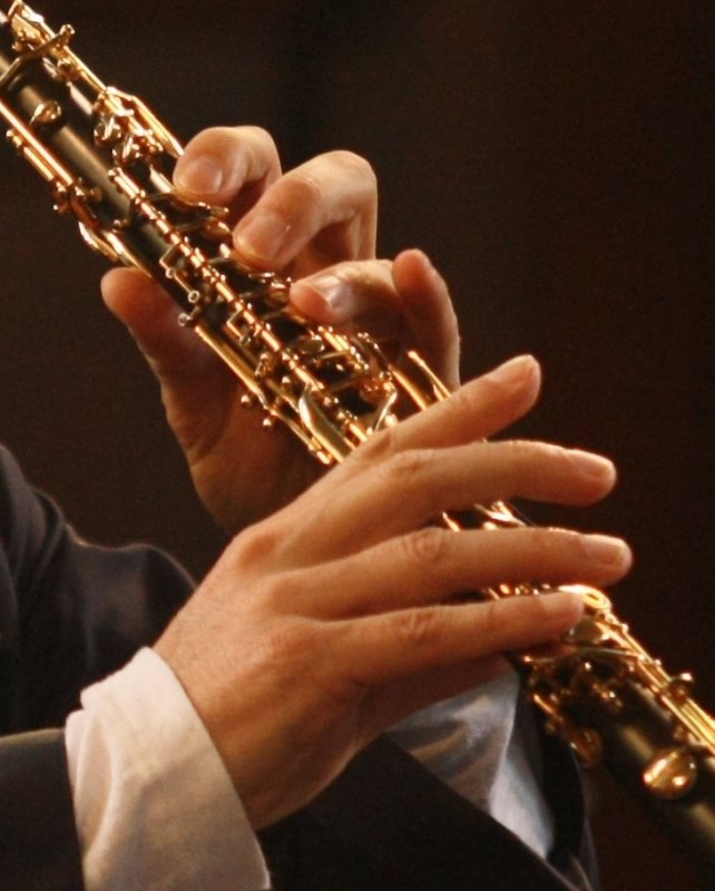 Abbildung Oboe // © hmt Rostock Abbildung Oboe // © hmt Rostock