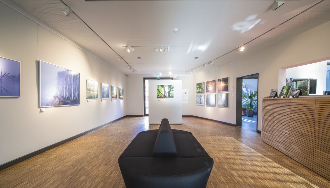 Galerie im Max H&uuml;nten Haus, &copy; Timm Allrich