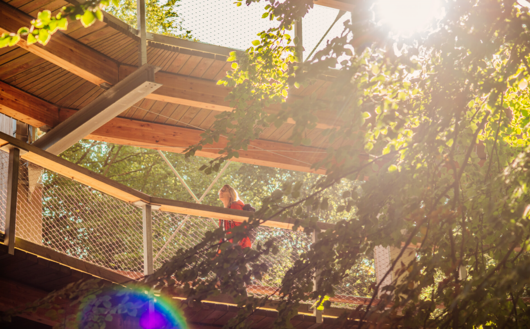 Familienf&uuml;hrung: NaturZauber, &copy; Binzer Bucht Tourismus