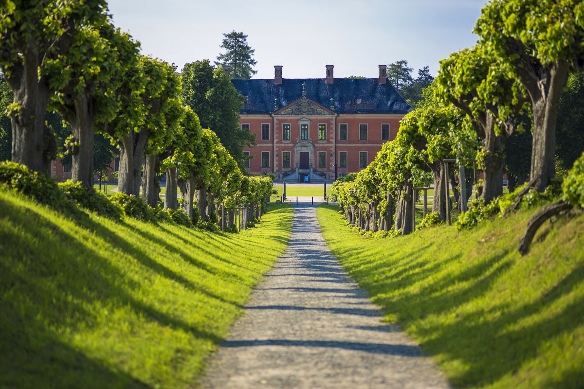 Festonallee zum Schloss Bothmer // © SSGK MV / Timm Allrich Festonallee zum Schloss Bothmer // © SSGK MV / Timm Allrich