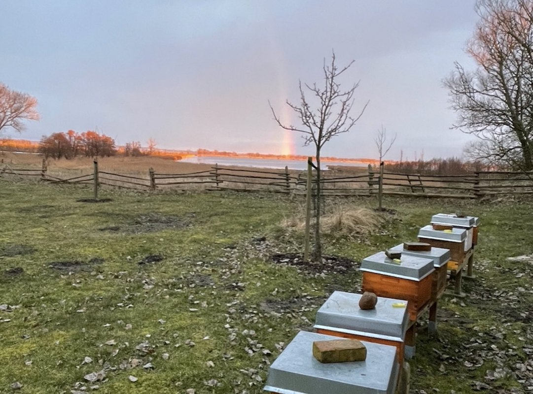 Morgenstimmung am Moor // &copy; Peter Wittenberg