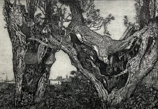 © Kunstmuseum Ahrenshoop © Kunstmuseum Ahrenshoop