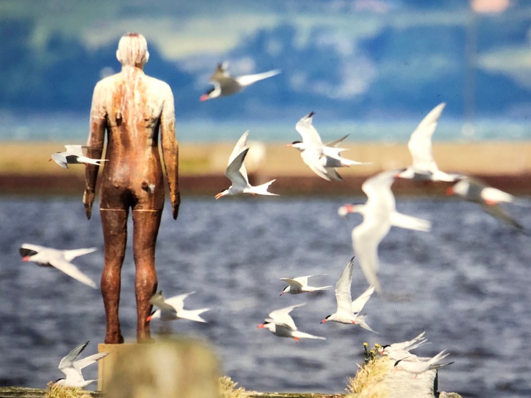 &copy; Annette Zacharias