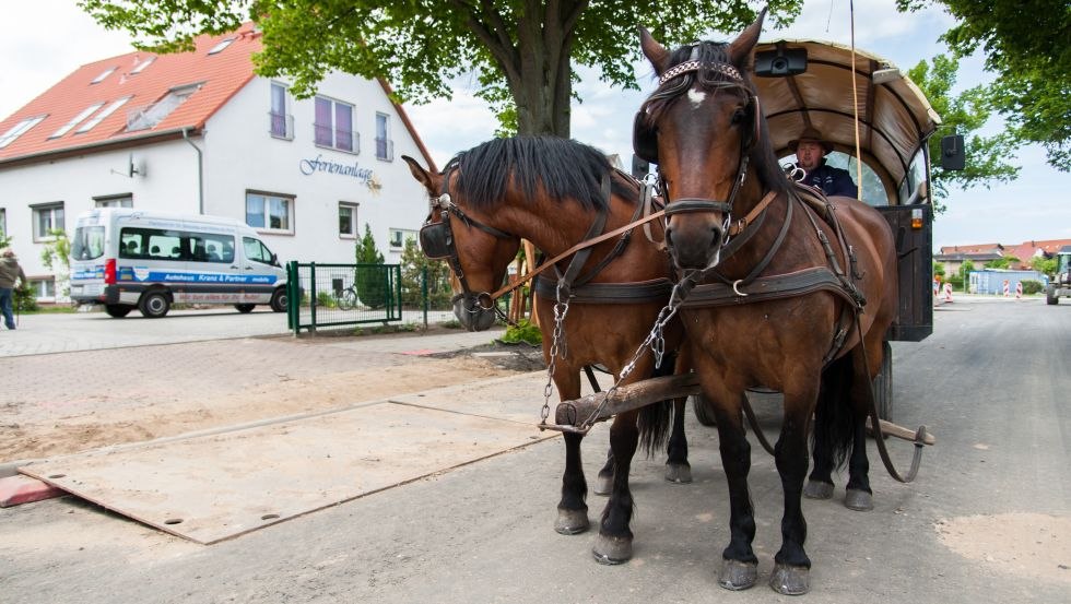 Kutsche vor der Ferienanlage Dröse, © Ferienanlage Dröse_P. Lipke Kutsche vor der Ferienanlage Dröse, © Ferienanlage Dröse_P. Lipke