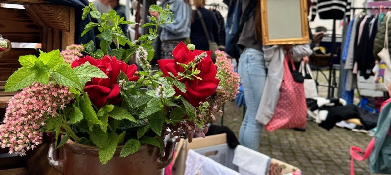 © © Die Stadtmagneten e. V. © © Die Stadtmagneten e. V.