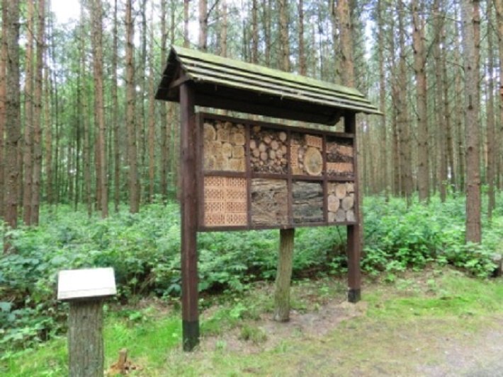 Insektenhotel im Wald der Sinne, &copy; Baltzer